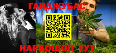 индика Ставрополь